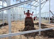 BNPB Akselerasi Pembangunan Huntara di Lima Kecamatan Aceh Utara