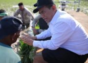 Pemerintah Gaji Petani Pulihkan Sawah Terdampak Bencana