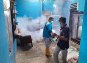 Per Januari 2026, DBD di Pasbar sudah mencapai 58 Kasus