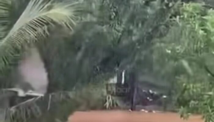 Hujan Deras, Seseorang Diduga Hanyut Terbawa Arus di Bantaran Sungai Tunggul Hitam