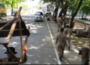 Satpol PP Padang Patroli Pengawasan bagi Pelanggar Perda di Sejumlah Titik