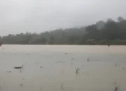 Debit Air Meningkat, Pemkab Padang Pariaman Tingkatkan Kesiagaan