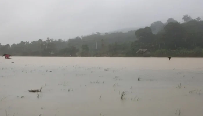 Debit Air Meningkat, Pemkab Padang Pariaman Tingkatkan Kesiagaan