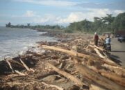 Diduga Menjadi Penyebab Bencana Sumatera, 12 Perusahaan Terancam Sanksi Hukum