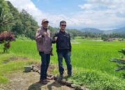 Pesona Alam Salayan Jadi Destinasi Study Tiru Pariwisata Nagari