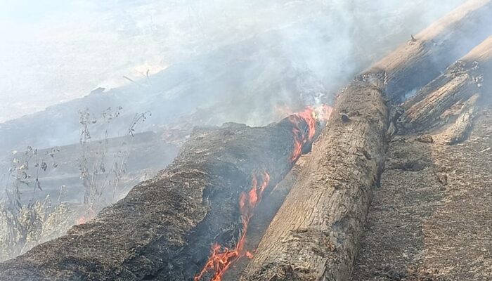 Perkembangan Situasi dan Penanganan Bencana di Indonesia 27 Januari 2026