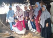 Ekspedisi Jojo Edisi 3 : Terkecoh Istilah ‘Kacang Goreng’ dan Ketan Durian