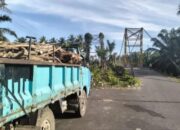 Over Tonase Jadi Biang Kerok, Jembatan Gantung Penghubung Pancung Soal–Airpura Kembali Rusak