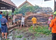 Perkembangan Situasi dan Penanganan Bencana di Tanah Air Tanggal 31 Januari 2026