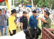 Kontes Ternak Dorong Edukasi dan Ekonomi Peternak di Kota Solok