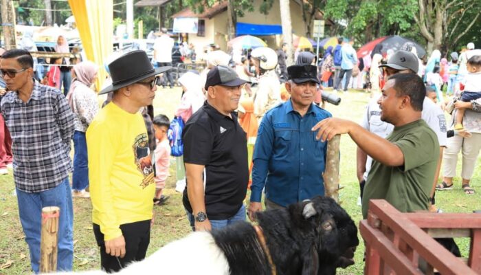 Kontes Ternak Dorong Edukasi dan Ekonomi Peternak di Kota Solok