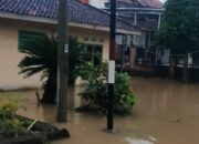 Perkembangan Situasi dan Penanganan Bencana di Tanah Air per 3 Februari 2026