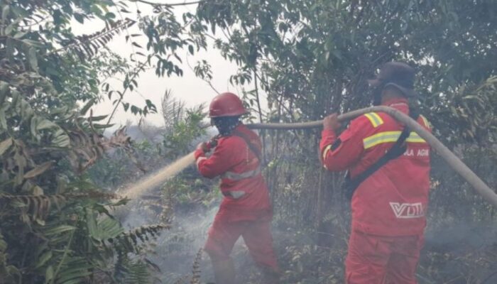 90 Titik Hotspot di Riau, Terbanyak di Sumatra