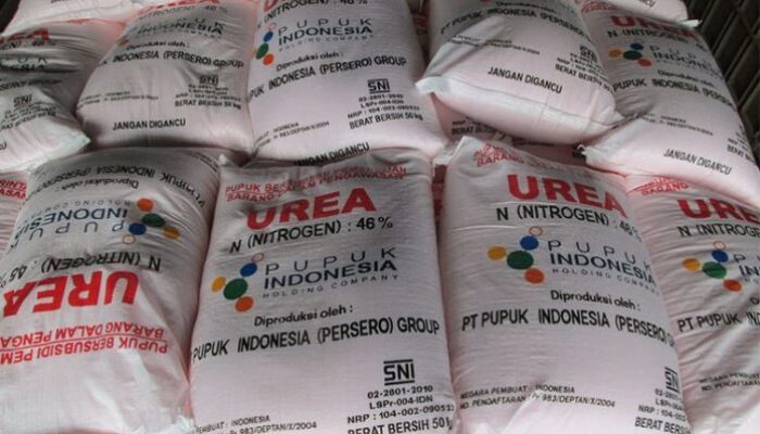 Pemerintah Pastikan Alokasi Pupuk Subsidi untuk Ketahanan Pangan Nasional