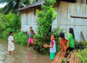Perkembangan Situasi dan Penanganan Bencana di Tanah Air 14 Februari 2026