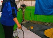 Perkembangan Situasi dan Penanganan Bencana di Tanah Air 19 Februari 2026