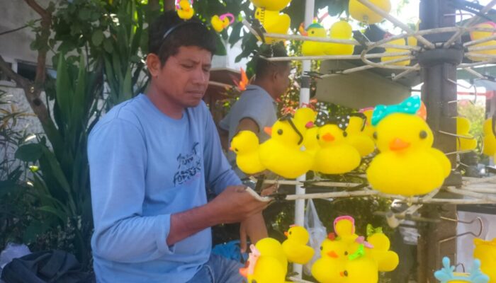 Awal Viral Bisa Terjual 30 Lusin, Pedagang Jepitan Bebek di Padang Panen Keuntungan