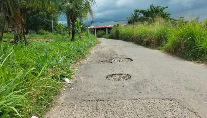 Kondisi Jalan Konservasi Utara Parupuk Tabing Menyimpan Kekhawatiran Warga