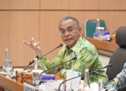 UMKM Tak Cukup Dibina, Harus Dilindungi dan Diserap Pasar