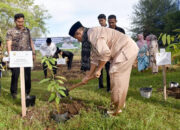 Pariaman Dipilih BPOM RI untuk Gerakan Sejuta Pohon Pascabencana