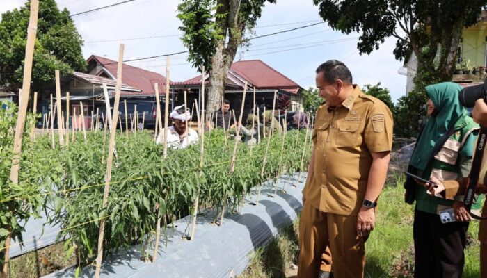 Yota Balad Ajak Masyarakat Manfaatkan Lahan Tidur di Kota Pariaman Agar Produktif