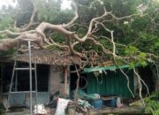 Perkembangan Situasi dan Penanganan Bencana di Tanah Air 3 Maret 2026