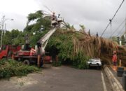 Cuaca Ekstrem Melanda Kabupaten Batang, Tim Gabungan Sigap Tangani Longsor, Banjir dan Pohon Tumbang