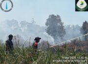 Perkembangan Situasi dan Penanganan Bencana di Tanah Air Tanggal 10 Maret 2026