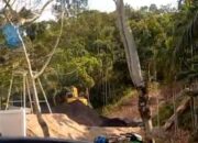 Diduga Belum Kantongi Izin Lingkungan, Aktivitas Batubara di Pelabuhan Panasahan Jadi Sorotan