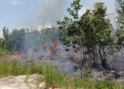 Perkembangan Situasi dan Penanganan Bencana di Tanah Air Tanggal 29 Maret 2026