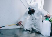 Jasa Anti Rayap Bandung Profesional untuk Mengatasi Ancaman Silent Destroyer