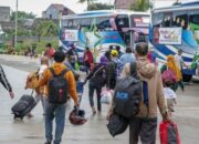 Mudik Gratis 2026 : Kemenhub Siapkan 25 Bus untuk Warga Sumbar