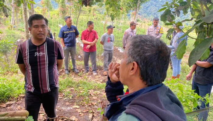 Dua Remaja Putri Diduga Bunuh Diri di Kawasan Kebun Teh Solok, Satu Meninggal, Satu lagi Selamat