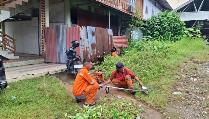 Jaga Estetika Pusat Pemerintahan di Kota Padang, Petugas DLH Rutin Lakukan Pemeliharaan Taman