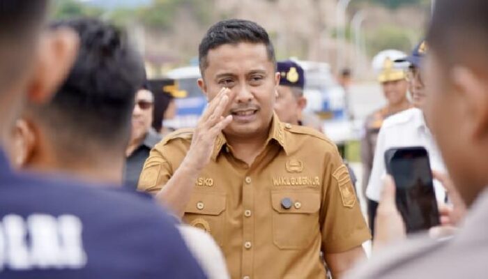 Usai Disemprot Mentan, Pemprov Sumbar Bentuk Tim Percepatan Pemulihan Pertanian