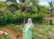 Nirma, Sang Penggerak Ketahanan Pangan dari Desa Sipora Jaya