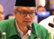 Hilirisasi Bawa Angin Segar Kebangkitan Gambir Sumbar