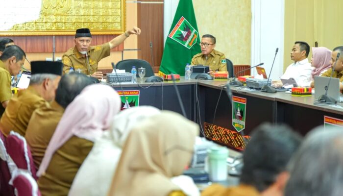 Pemprov Sumbar Targetkan 10 Nagari Creative Hub Baru