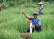 Jaga Batas Tanah saat Mudik, Langkah Awal Cegah Konflik Antartetangga