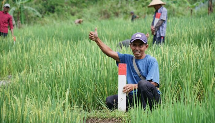 Jaga Batas Tanah saat Mudik, Langkah Awal Cegah Konflik Antartetangga