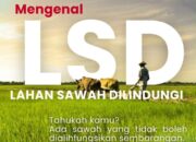 Lahan Sawah Dilindungi, Ahmad Yahdi Ajak Masyarakat Jaga Ketahanan Pangan