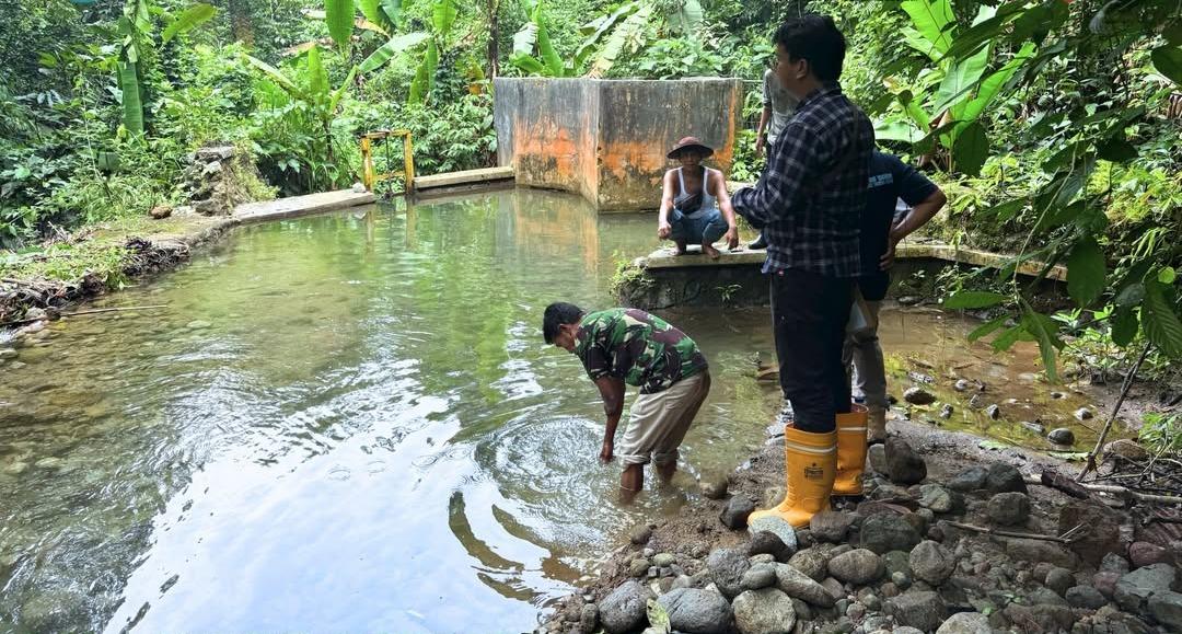 Pertanahan