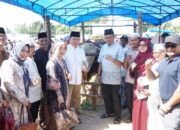 Wako Zulmaeta Apresiasi Bantuan Sapi Kurban 1,2 Ton dari Presiden untuk Warga Payakumbuh