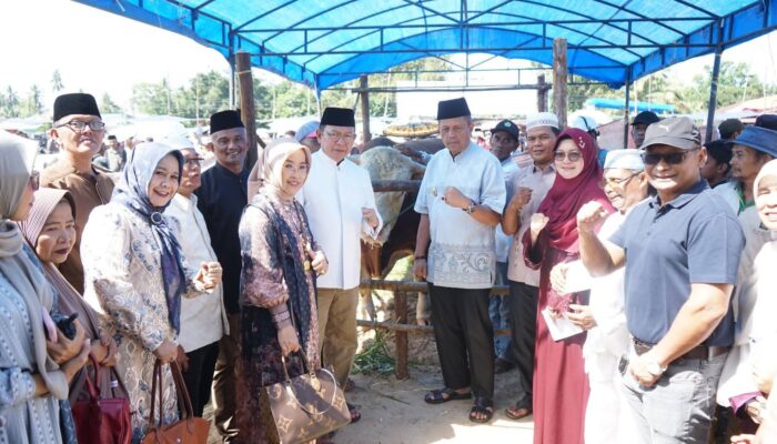 Wako Zulmaeta Apresiasi Bantuan Sapi Kurban 1,2 Ton dari Presiden untuk Warga Payakumbuh