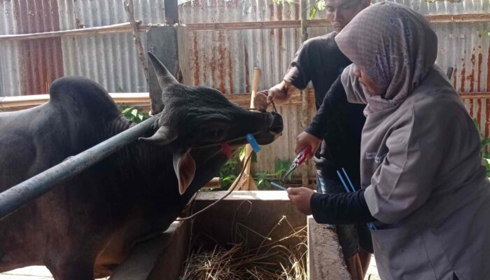 Distribusi Daging Kurban di Padang Kini Lewat Barcode