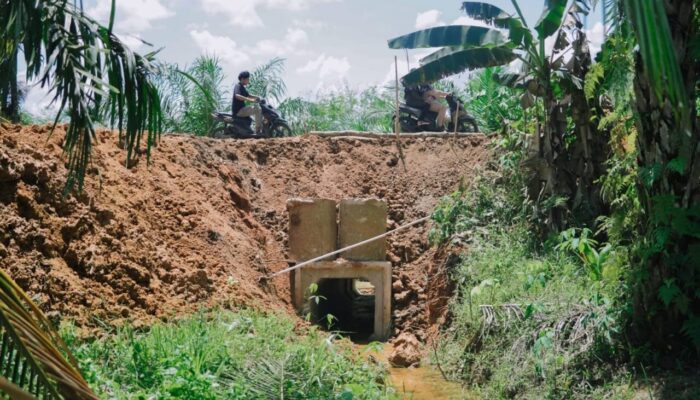 Tangani Jalan Amblas, Pemkab Dharmasraya Pasang Box Culvert di Nagari Kurnia Selatan