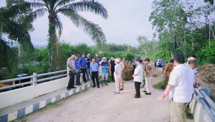 Bupati Dharmasraya Tinjau Pembangunan Jembatan Batang Mimpi di Nagari Sikabau