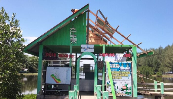 Yayasan Kehati Dorong Pengembangan Rumah Sakit Penyu di Amping Parak, Jadi Pusat Konservasi Pertama di Sumbar