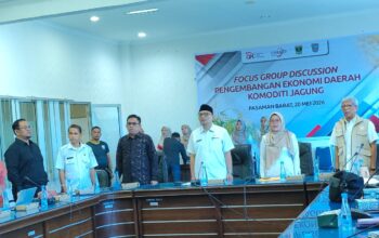 Pemkab Pasbar Dorong Penguatan Sektor Jagung Lewat FGD Ekonomi Daerah