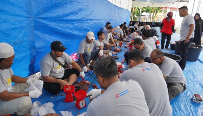 Pertamina Sumbagut Salurkan Bantuan Hewan Kurban untuk Masyarakat saat Iduladha